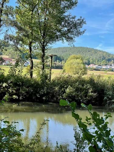 Bild vergrößern