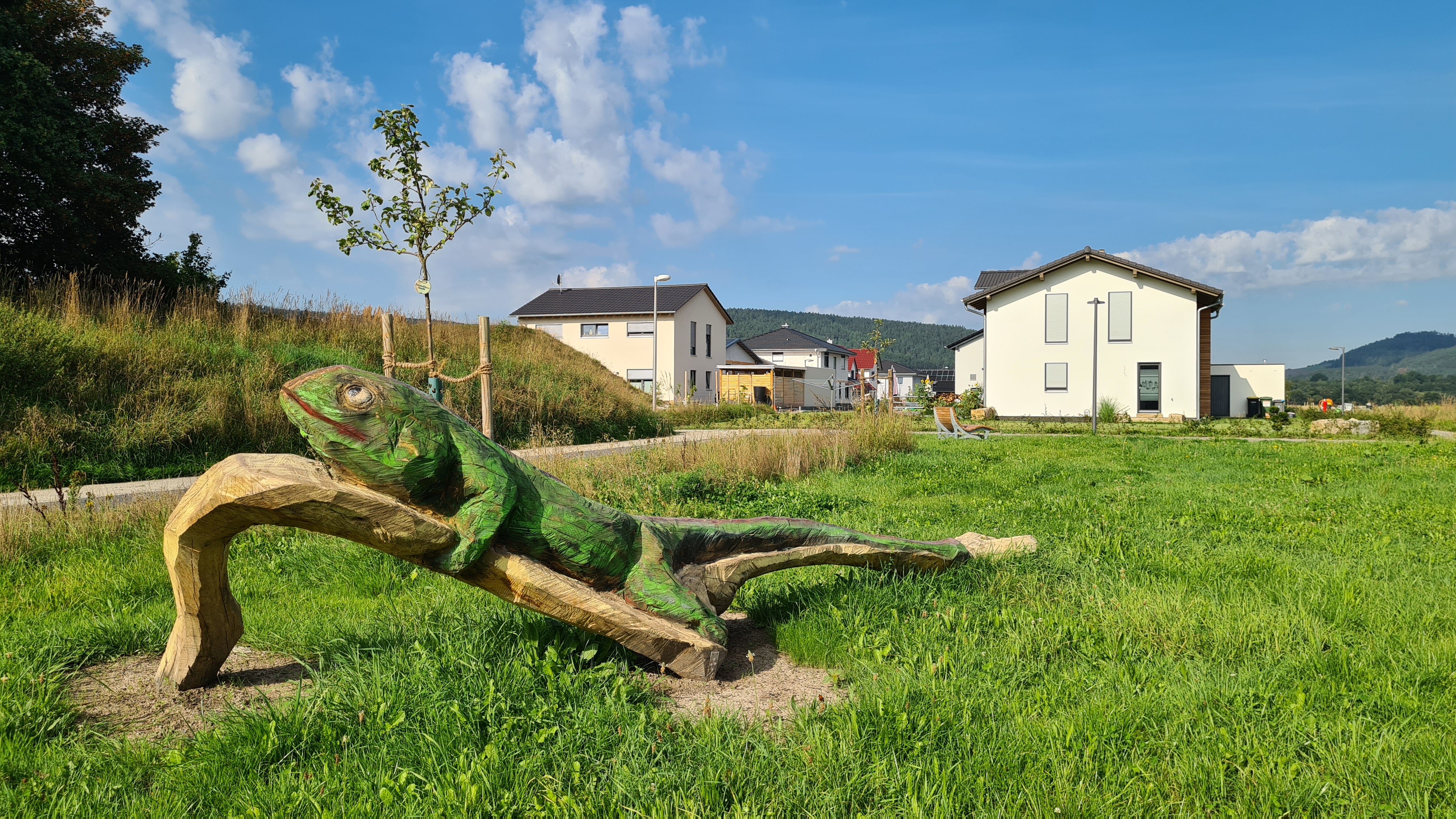 Bild vergrößern