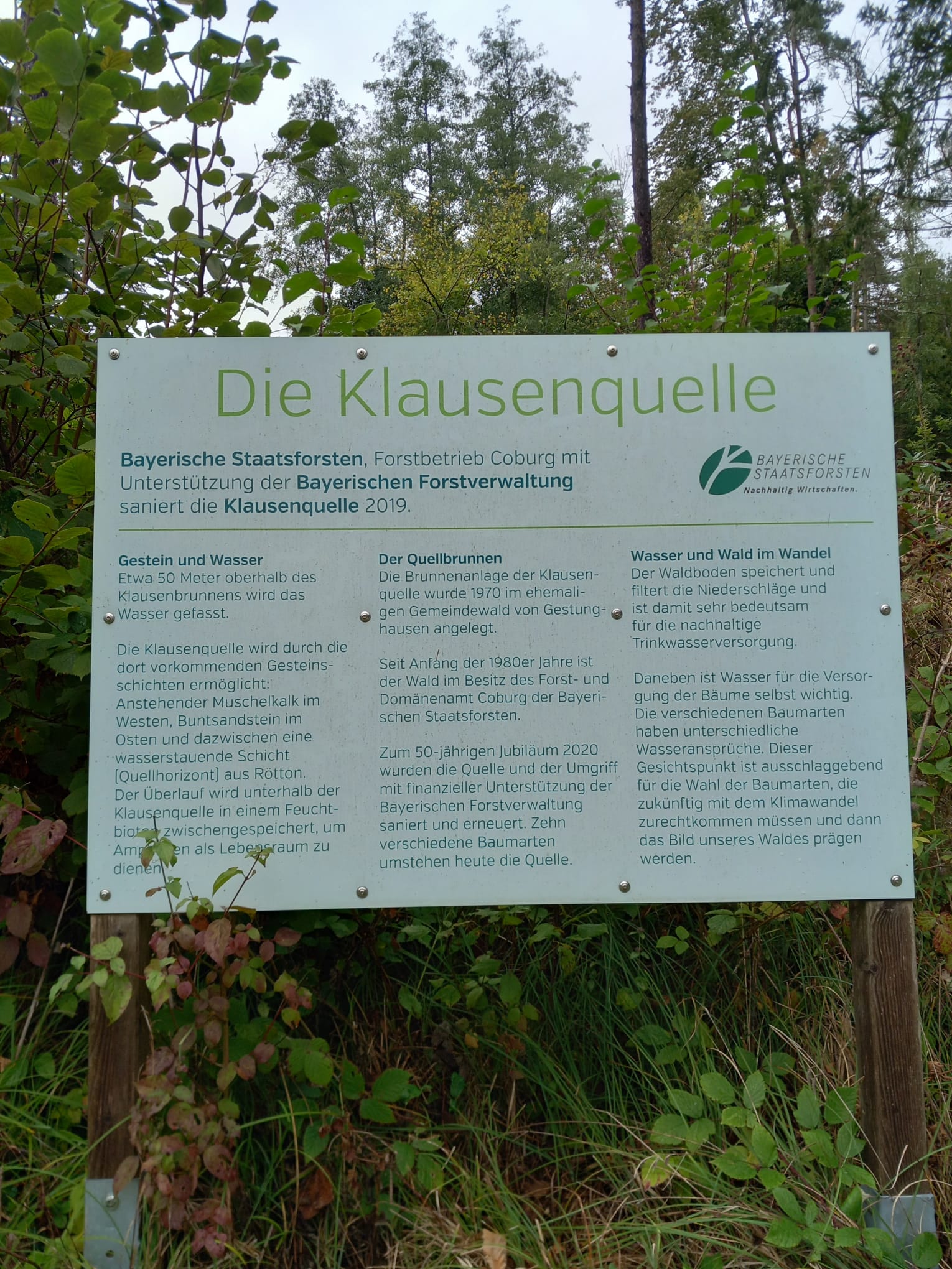 Bild vergrößern