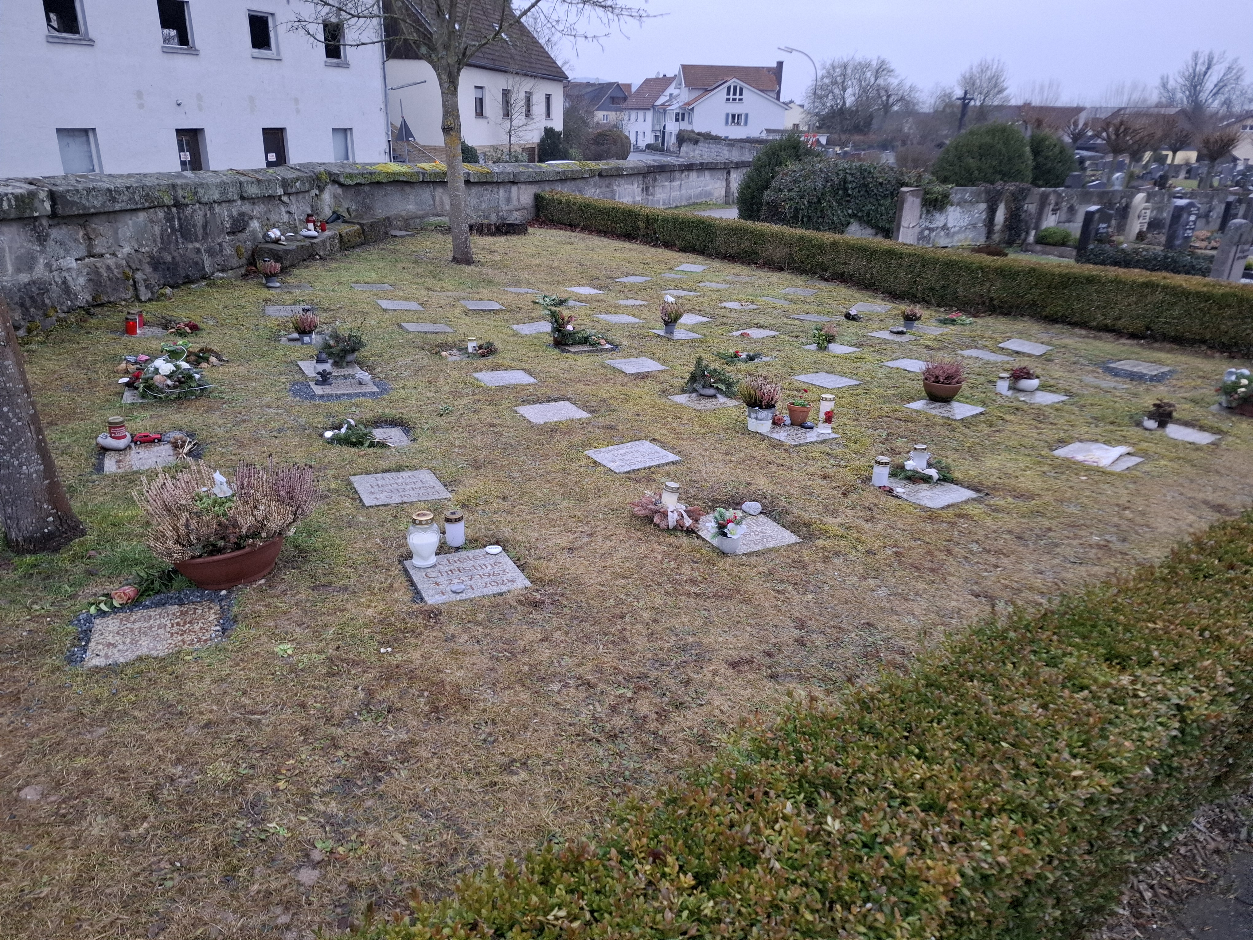 Bild vergrößern