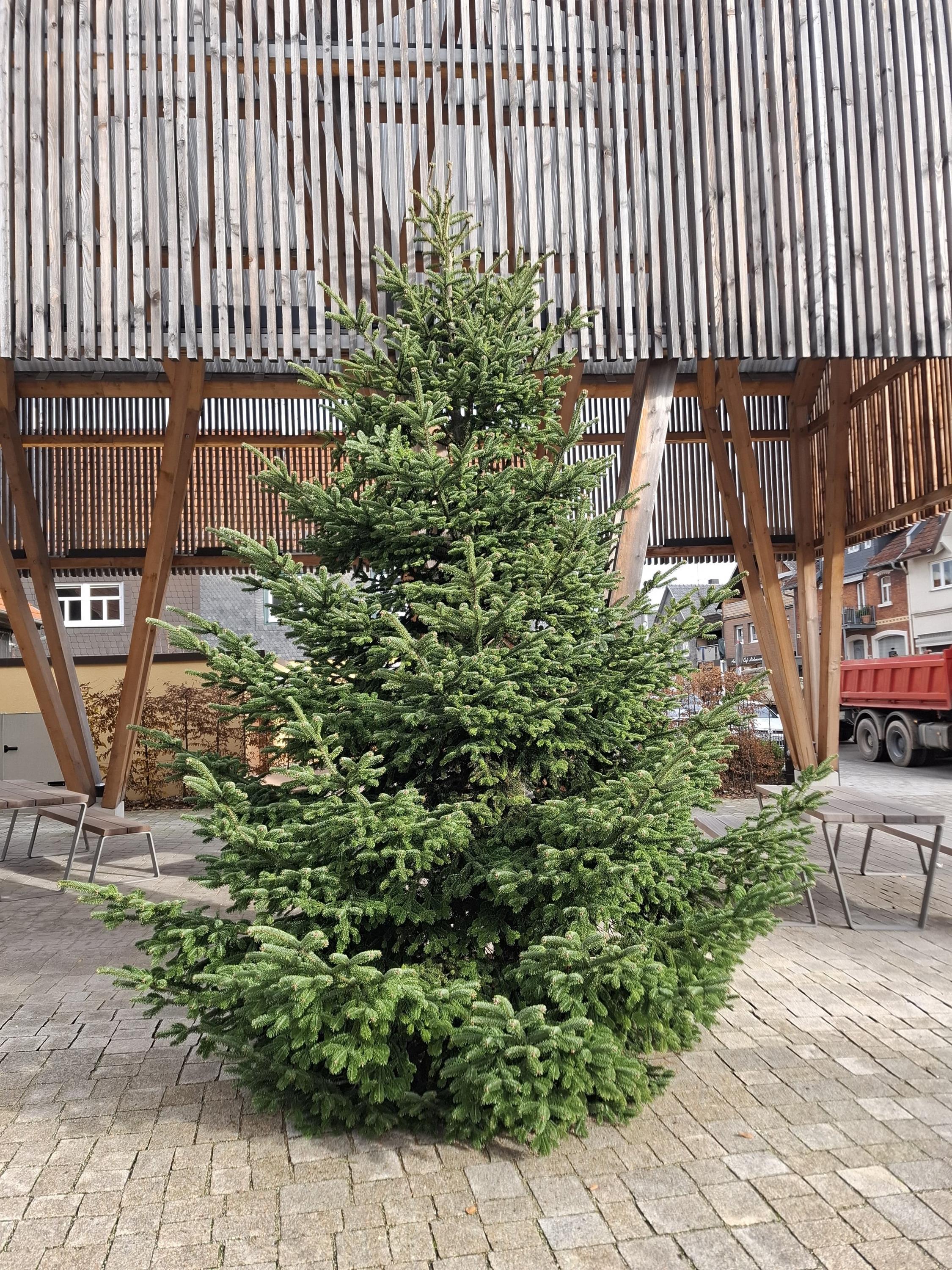 Leider haben wir keinen Alternativtext zu diesem Bild, aber wir arbeiten daran.