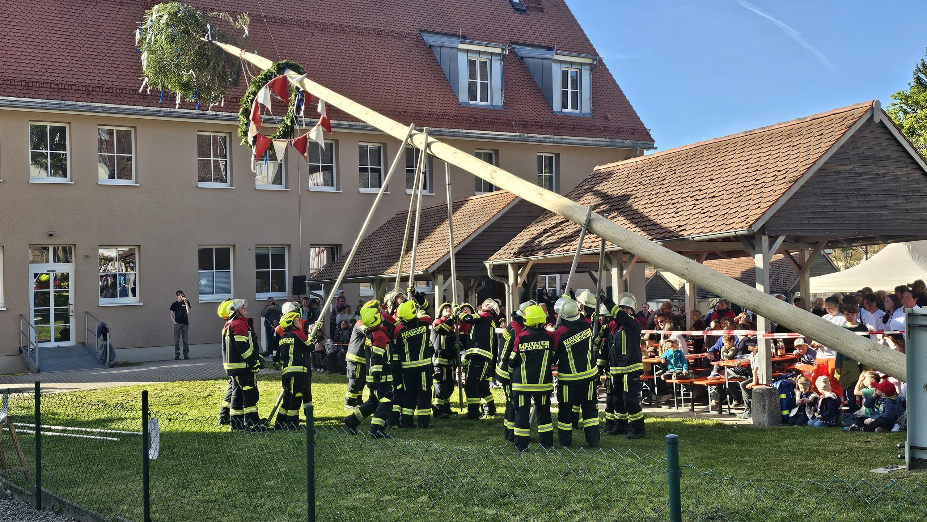 KW 20 Maibaum